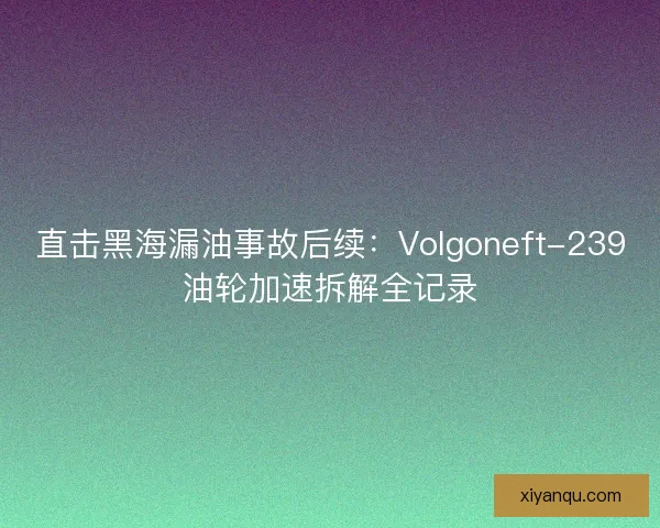 直击黑海漏油事故后续：Volgoneft-239油轮加速拆解全记录