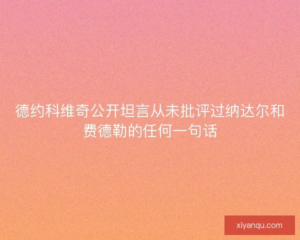 德约科维奇公开坦言从未批评过纳达尔和费德勒的任何一句话