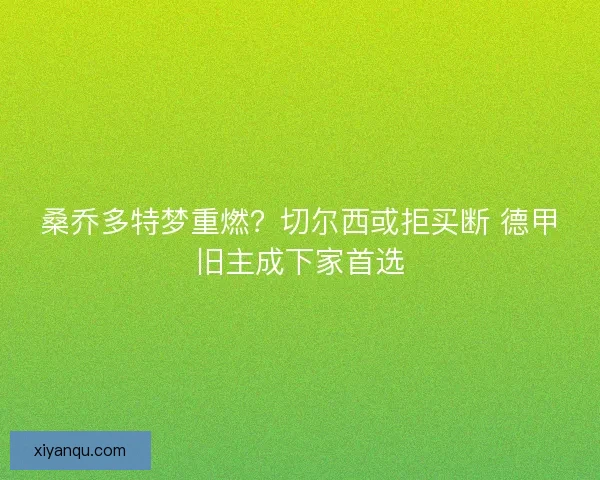 桑乔多特梦重燃？切尔西或拒买断 德甲旧主成下家首选