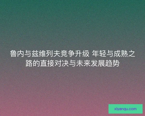 鲁内与兹维列夫竞争升级 年轻与成熟之路的直接对决与未来发展趋势