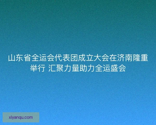 山东省全运会代表团成立大会在济南隆重举行 汇聚力量助力全运盛会 山东省全运会代表团成立大会在济南隆重举行 汇聚力量助力全运盛会